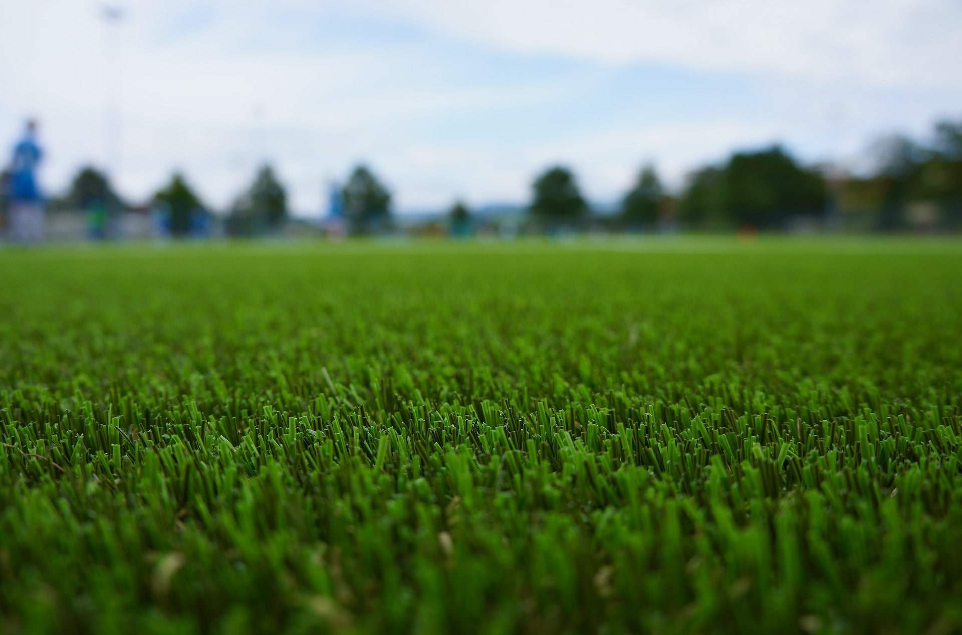 Artificial Turf